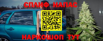 ECSTASY Свободный