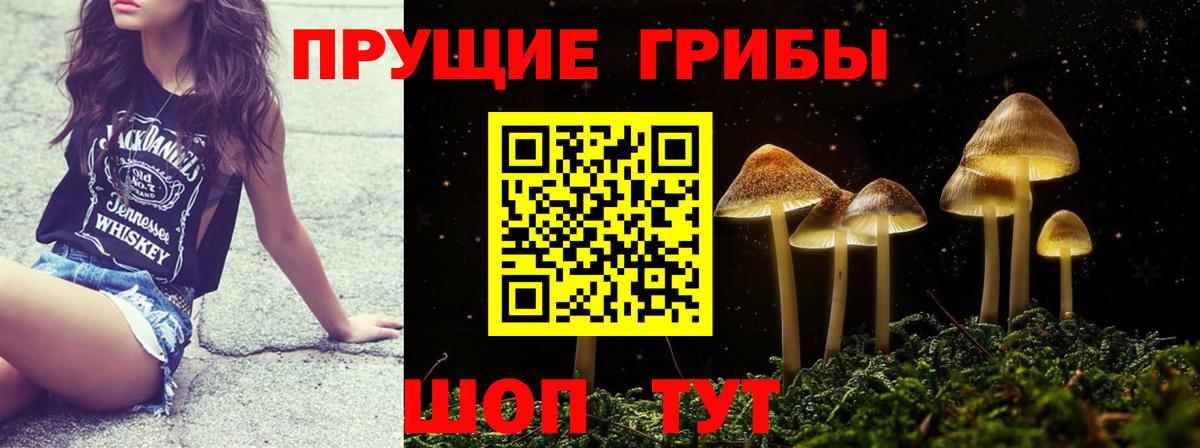 Псилоцибиновые грибы прущие грибы  купить наркотик  Нягань  Вход с VPN 