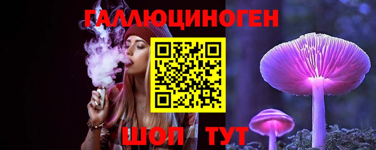 Галлюциногенные грибы Psilocybine cubensis Нягань